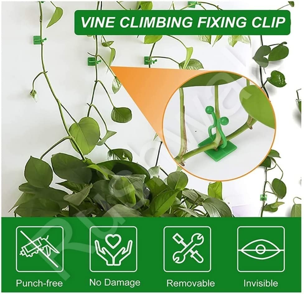 IMPORTED 30 Plant Climbing Wall Clips, Self-Adhesive & Invisible - 30 Pcs Set